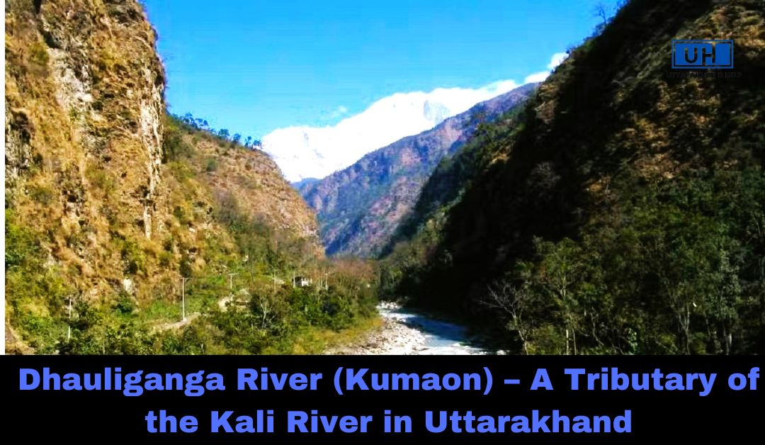 Dhauliganga River (Kumaon) – A Tributary of the Kali River in Uttarakhand